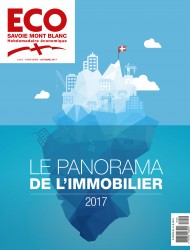 PANORAMA DE L'IMMOBILIER 2017 