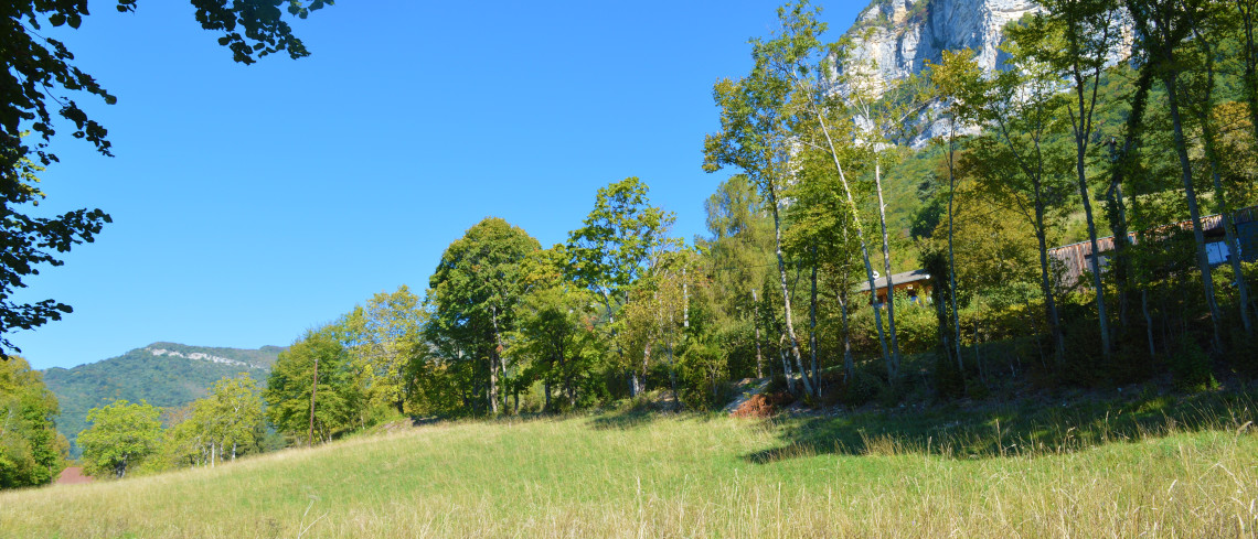 LE DOMAINE DE RUCHER