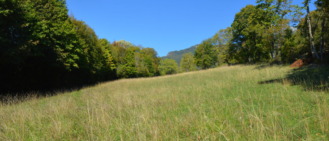 LE DOMAINE DE RUCHER