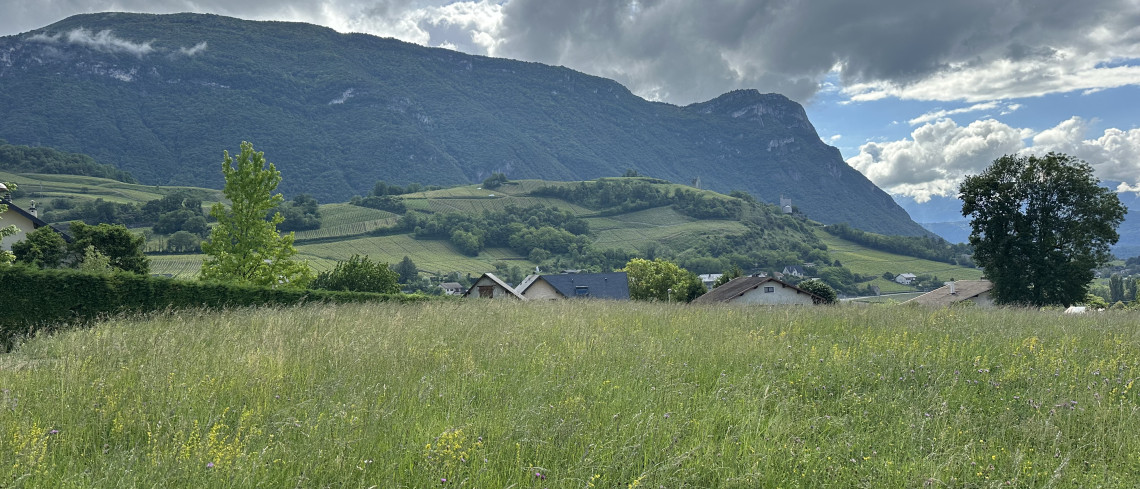 Le Clos des Chênes